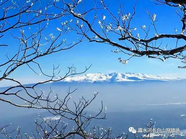 佛山市公办中专学校有哪些游戏画面
